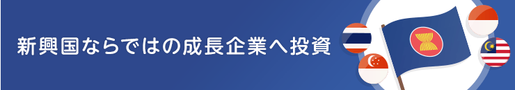 新興國ならではの成長企業へ投資
