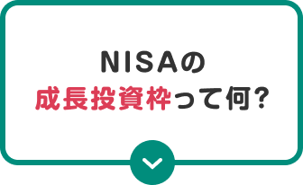 NISAの成長投資枠って何？
